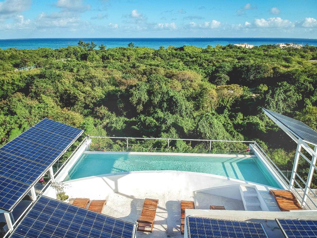 Ocean Zen Suites On 5Th Avenue - Adults Only Playa del Carmen Eksteriør bilde