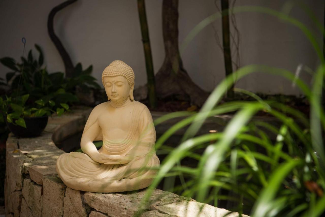 Ocean Zen Suites On 5Th Avenue - Adults Only Playa del Carmen Eksteriør bilde