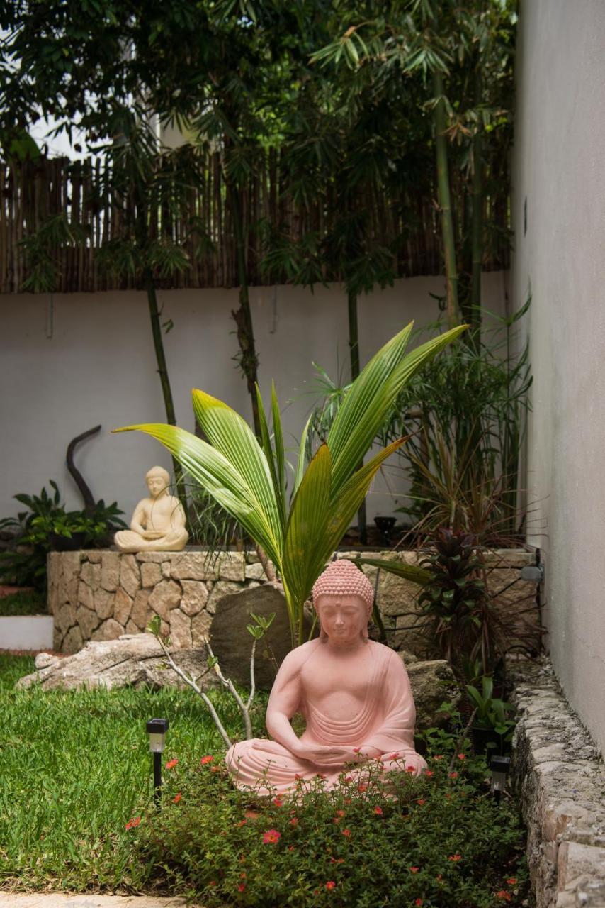 Ocean Zen Suites On 5Th Avenue - Adults Only Playa del Carmen Eksteriør bilde
