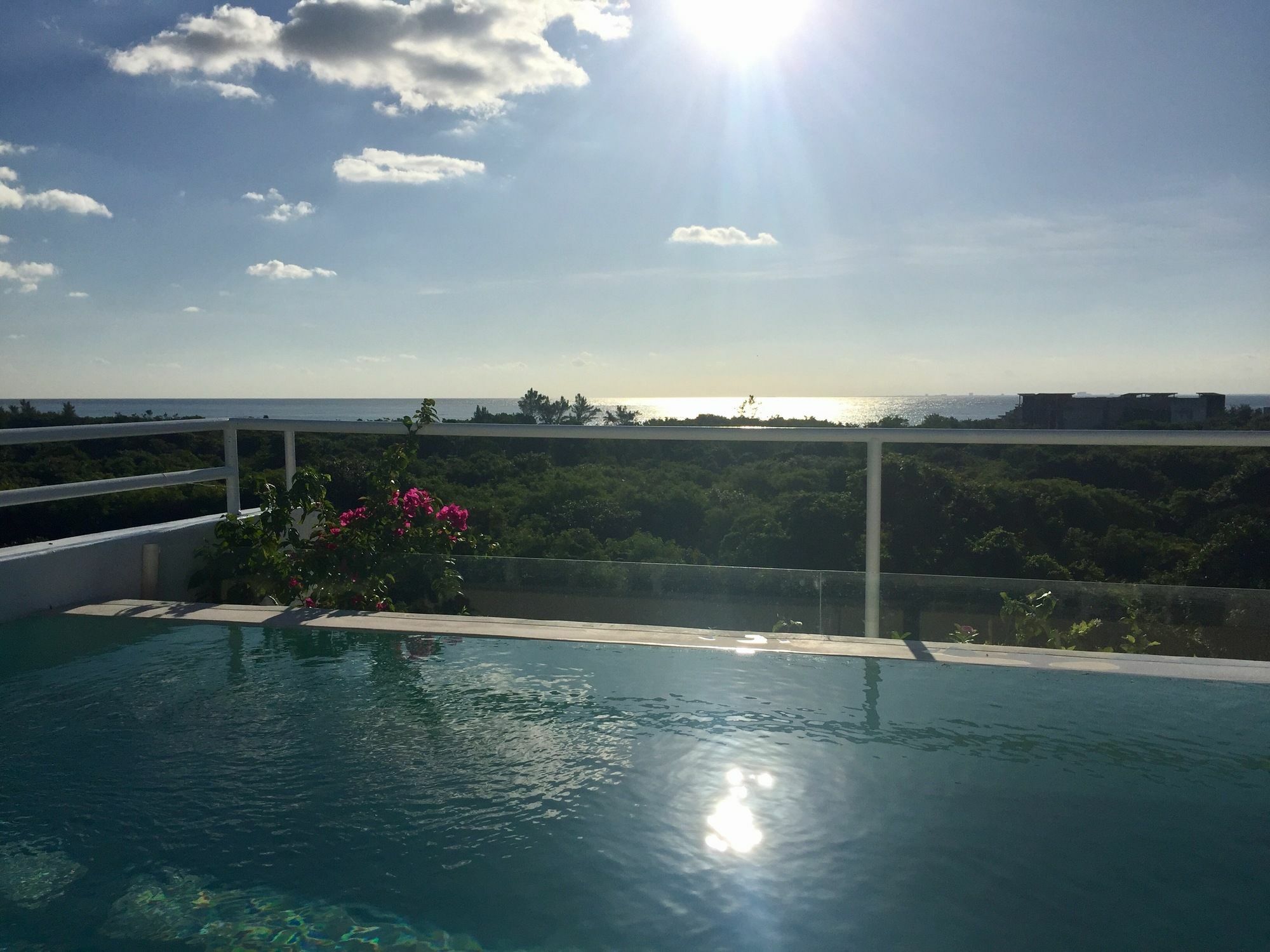 Ocean Zen Suites On 5Th Avenue - Adults Only Playa del Carmen Eksteriør bilde